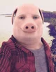 John Pork