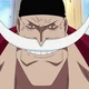 Boxnetic Whitebeard