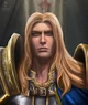 Paladin Arthas