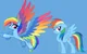 G5 Rainbow Dash