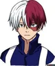 Shoto todoroki