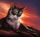 Warrior Cats Rp