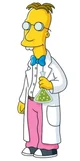 Professor Frink
