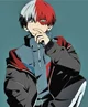 Shoto Todoroki -MHA