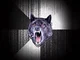 Insanity Wolf