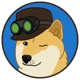 Doge-_-