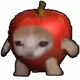Apple Cat