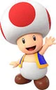 Toad