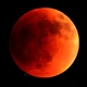Bloodmoon 