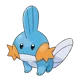 Mudkip