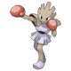 Hitmonchan