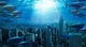 Underwater City