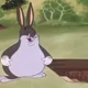 big chungus