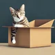 Cat in a box