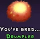 Drumpler egg