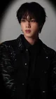 Kim Seok Jin