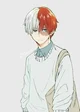 Shoto Todoroki