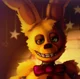 spring bonnie