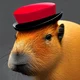 Mr Capybara 