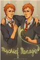 Weasley twins 