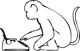 Monkey on Typewriter