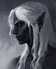 Dark Elf 