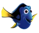 Dory