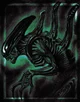 Xenomorph