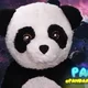 Panda YouTuber
