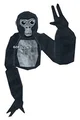 Gorilla Tag kid