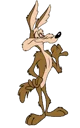 Wile E Coyote