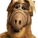 ALF