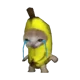 Banana Cat