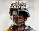 COD Cold War RP