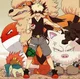 Trainer Bakugo