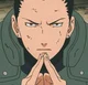 Shikamaru