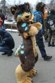 A furry