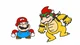 bowser -sr pelo-