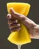 A wet sponge