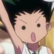 Gon