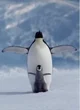 Penguin Swordsman