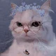 Mimi