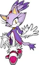 Blaze the cat