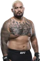 Mark hunt 
