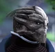affectionate turian