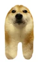Dogemongus