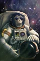Space Monkey