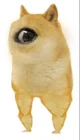 Cursed Dogemongus 