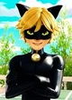 Cat Noir