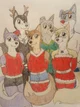 The Husky Group